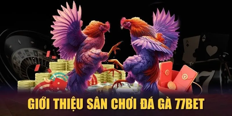 Giới thiệu sân chơi Đá gà 77Bet